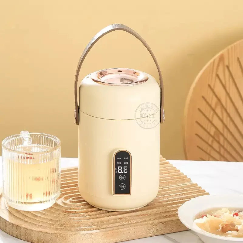 Compact Electric Kettle