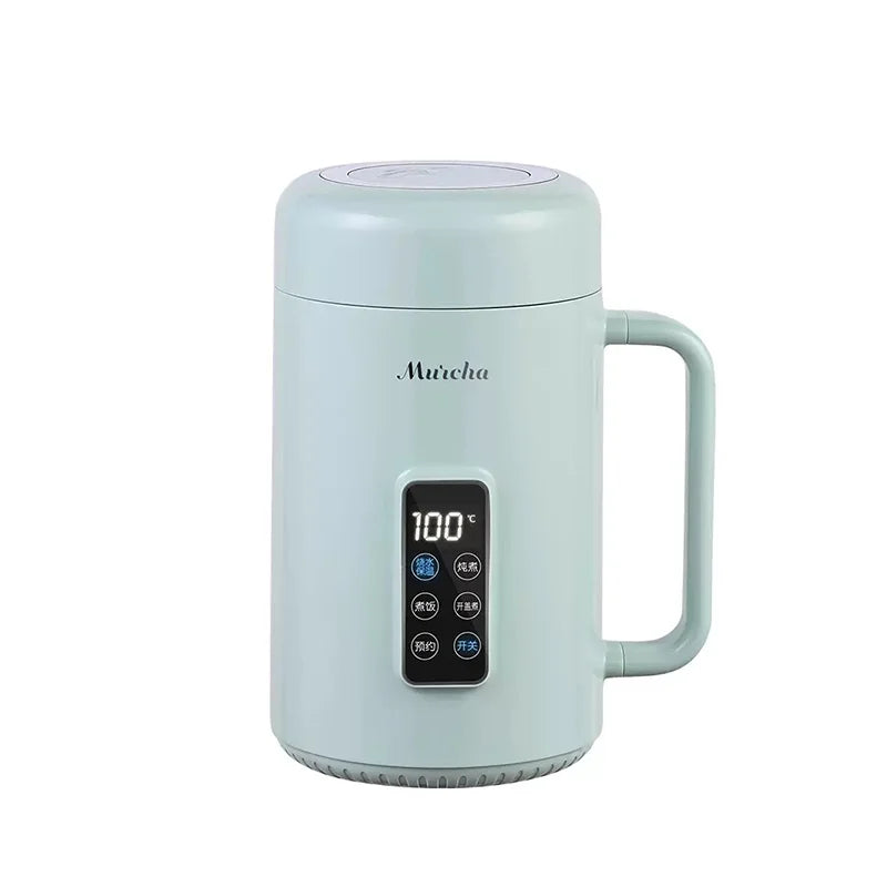 Compact Electric Kettle